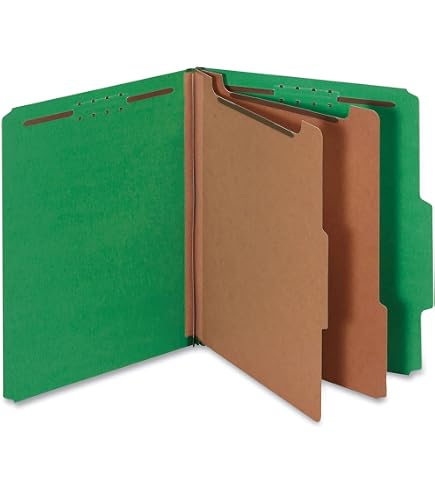 Amazon.com: Universal UNV10301 Bright Colored 2-Divider Letter